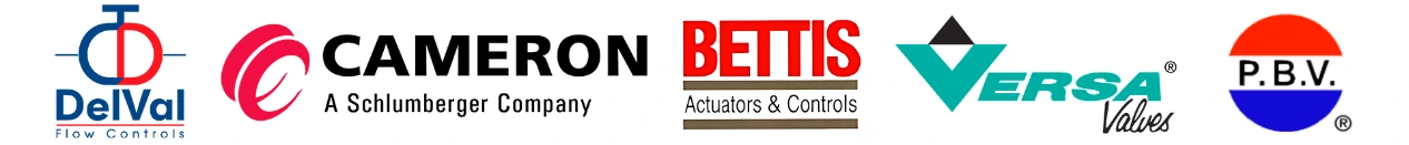 Alianzas estratégicas de VAS: Delval flow controls, Cameron, Bettis, Versa valves y p.b.v.