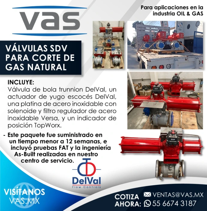 Equipo de ingenieros de VAS durante capacitación técnica sobre válvulas de seguridad y alivio Consolidated de Baker Hughes
